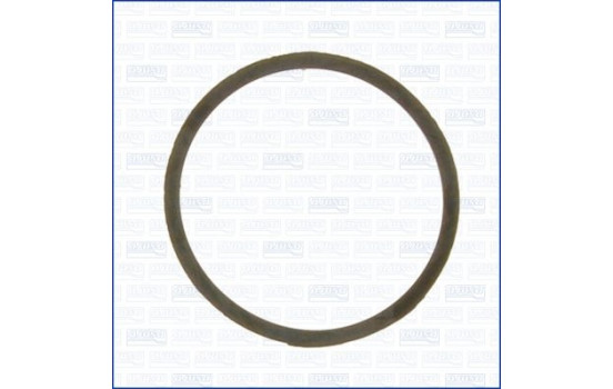Gasket, thermostat