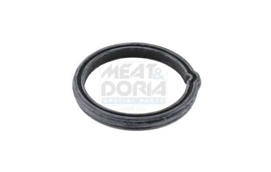 Gasket, thermostat