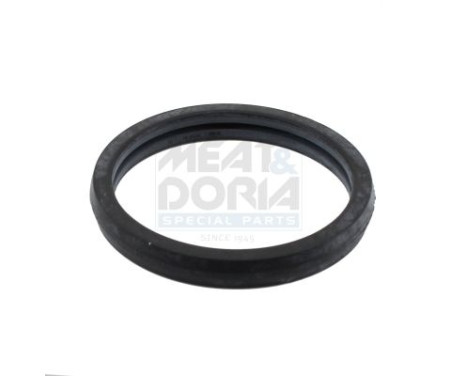 Gasket, thermostat