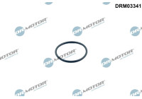 Gasket, thermostat