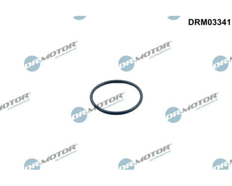 Gasket, thermostat