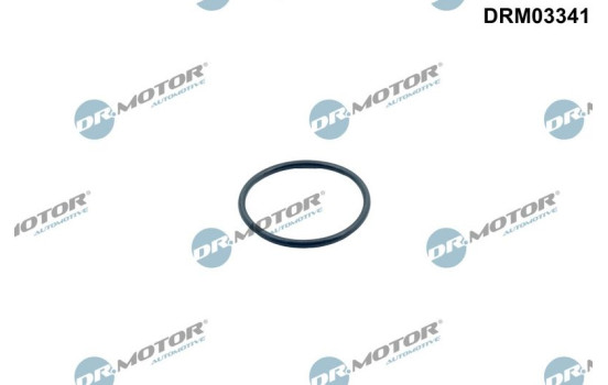 Gasket, thermostat