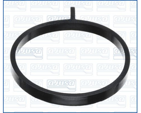 Gasket, thermostat