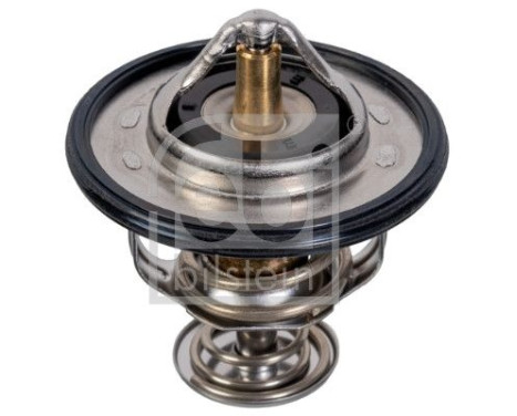 thermostat 107701 FEBI