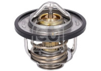 thermostat 179755 FEBI