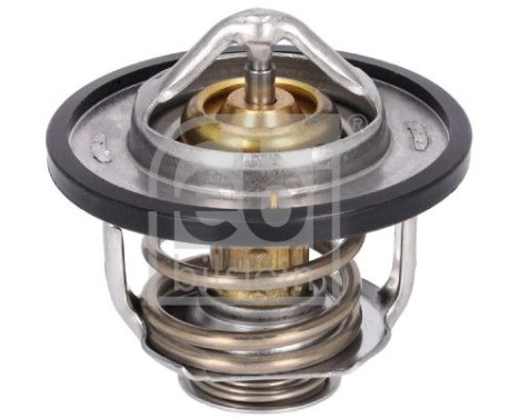 thermostat 179755 FEBI