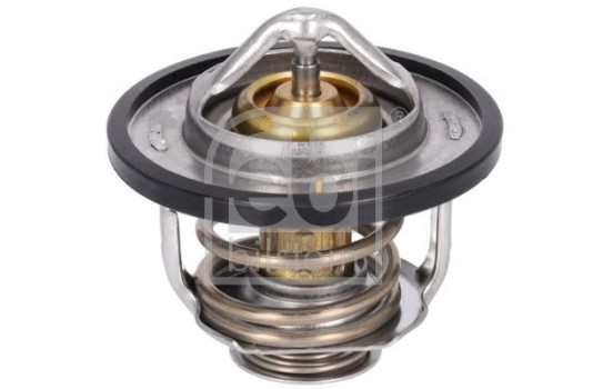 thermostat 179755 FEBI