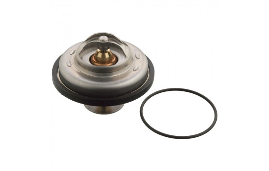 Thermostat, coolant 09324 FEBI
