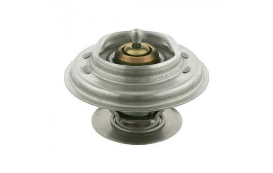 Thermostat, coolant 09676 FEBI