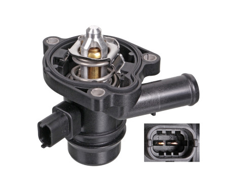 Thermostat, coolant 103377 FEBI