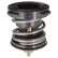 Thermostat, coolant 104981 FEBI