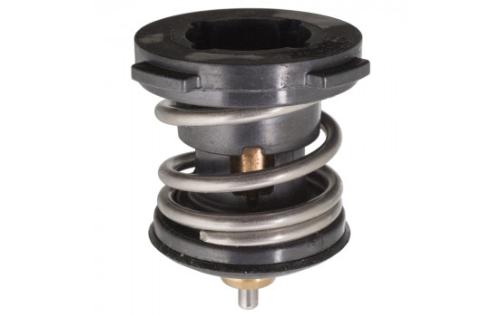 Thermostat, coolant 104981 FEBI