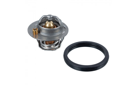 Thermostat, coolant 105992 FEBI