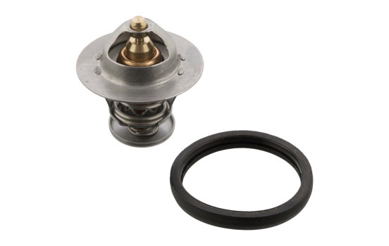 Thermostat, coolant 106104 FEBI