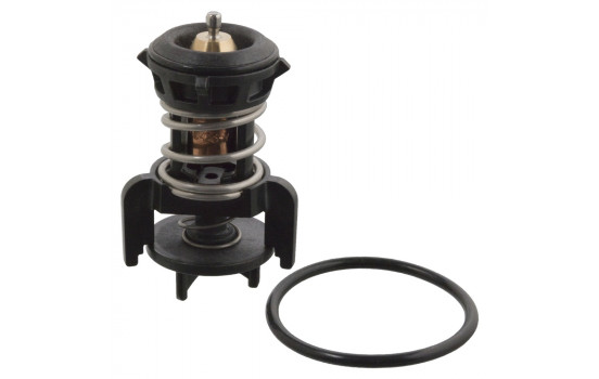 Thermostat, coolant 106524 FEBI