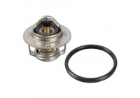 Thermostat, coolant 108076 FEBI