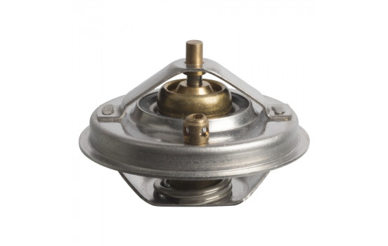 Thermostat, coolant 108922 FEBI