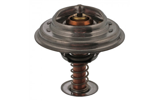 Thermostat, coolant 11119 FEBI