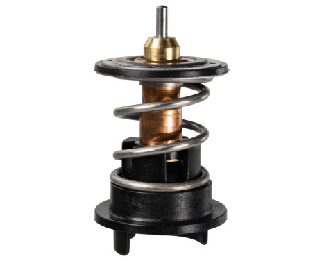 Thermostat, coolant 171912 FEBI