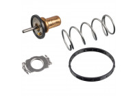Thermostat, coolant 172432 FEBI