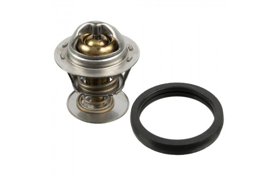 Thermostat, coolant 173096 FEBI