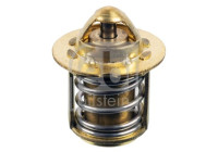 Thermostat, coolant 174444 FEBI