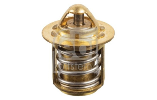 Thermostat, coolant 174445 FEBI