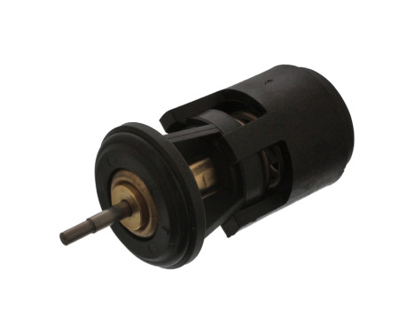 Thermostat, coolant 17902 FEBI