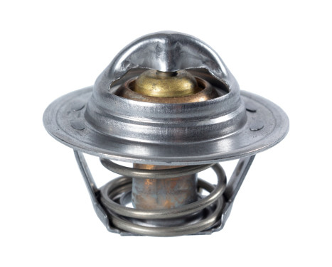 Thermostat, coolant 17906 FEBI
