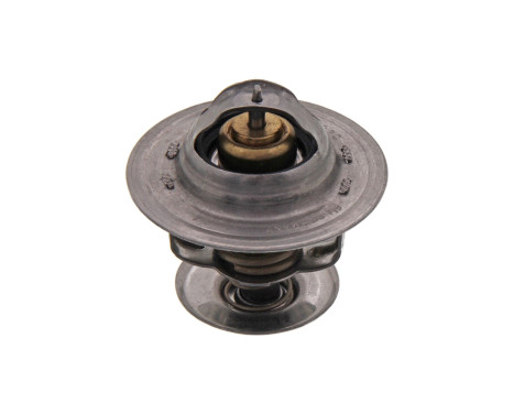 Thermostat, coolant 17908 FEBI