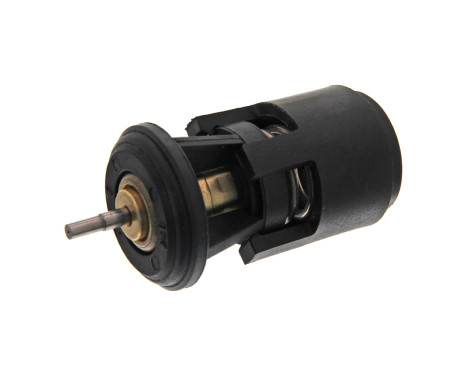 Thermostat, coolant 17922 FEBI