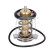 Thermostat, coolant 185598 FEBI