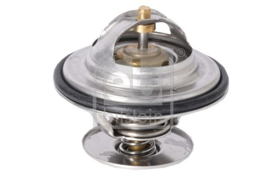 Thermostat, coolant 198067 FEBI