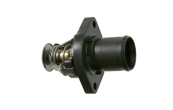 Thermostat, coolant 22058 FEBI