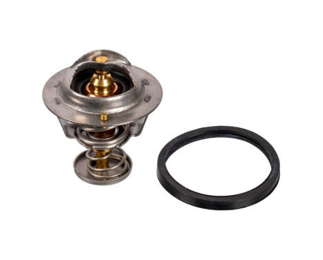 Thermostat, coolant 24998 FEBI