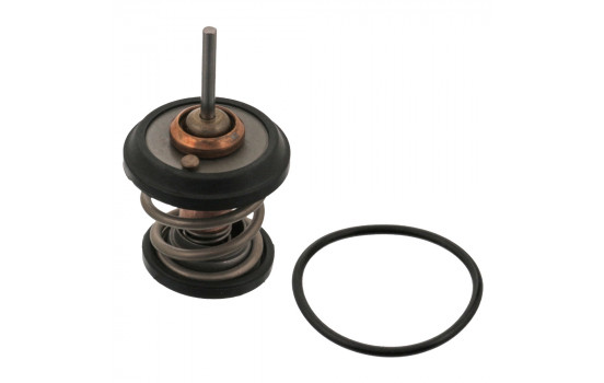 Thermostat, coolant 34782 FEBI