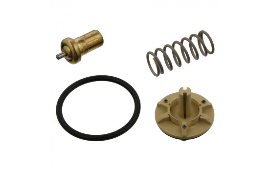 Thermostat, coolant 36844 FEBI