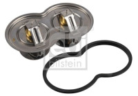 Thermostat, coolant 40958 FEBI