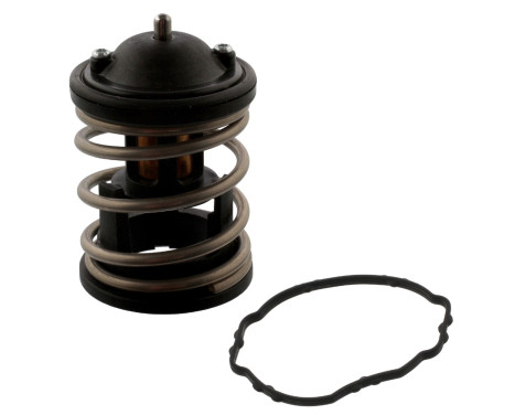 Thermostat, coolant 44683 FEBI