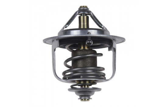 Thermostat, coolant 47409 FEBI