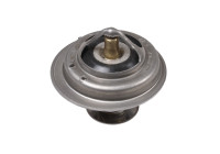 Thermostat, coolant ADC49208 Blue Print