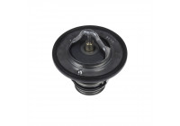 Thermostat, coolant ADC49212 Blue Print