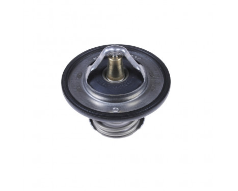 Thermostat, coolant ADC49216 Blue Print