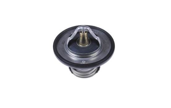Thermostat, coolant ADC49216 Blue Print