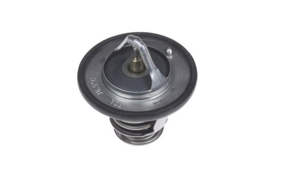 Thermostat, coolant ADC49221 Blue Print