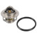 Thermostat, coolant ADC49230 Blue Print