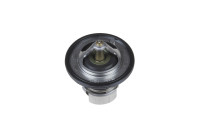Thermostat, coolant ADD69208 Blue Print