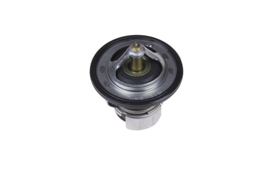 Thermostat, coolant ADD69209 Blue Print