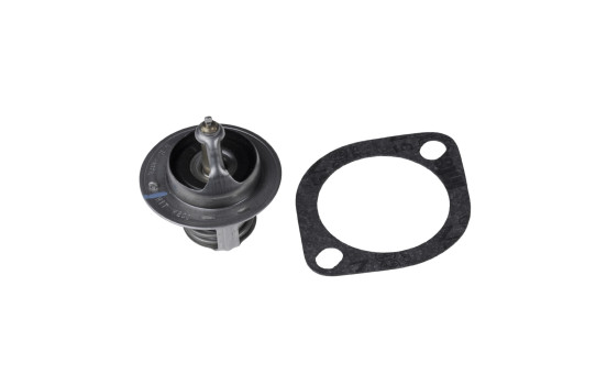 Thermostat, coolant ADG09222 Blue Print
