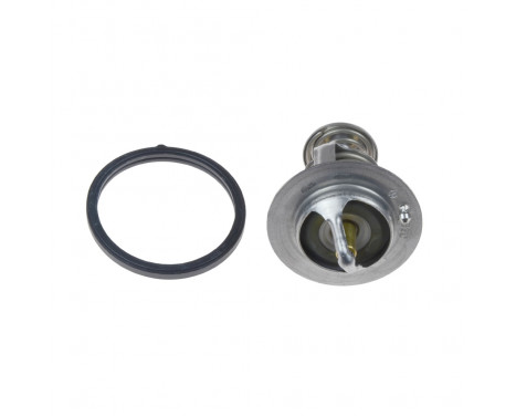 Thermostat, coolant ADG09229 Blue Print